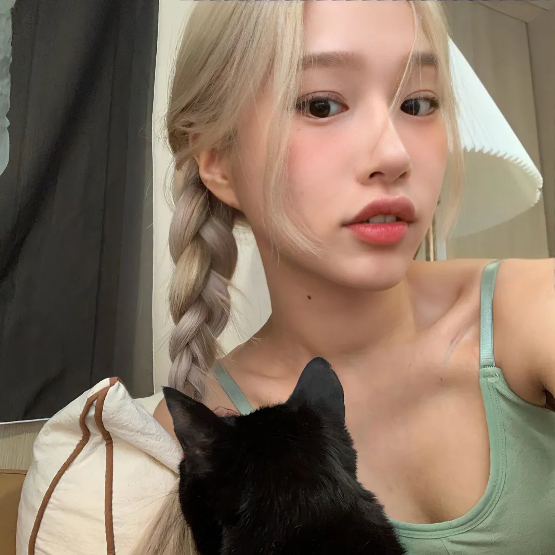 圣诞狗狗救援